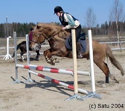 Satu M�ki ja Erhipan Maltti