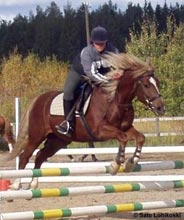 Marja Rinta-Risku ja Poiss