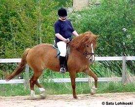 Sirpa Pentinm�ki-Salli ja Rallin Vinha