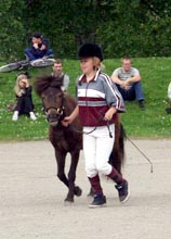 Sirja Koski-Laulaja ja Laikun Lilli