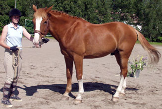 Dormet