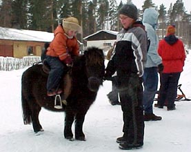 Sirja ja Pipari