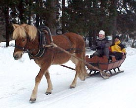 Satu ja Tovin Tahti